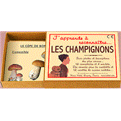 J'apprends À RECONNAÎTRE LES CHAMPIGNONS