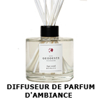 DIFFUSEUR PARFUM GEODESIS