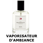 VAPORISATEUR AMBIANCE GEODESIS